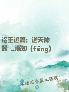 冷王追妻：逆天神級煉器師