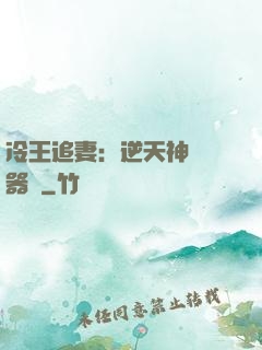 冷王追妻：逆天神級煉器師