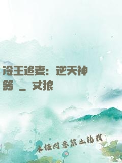 冷王追妻：逆天神級煉器師