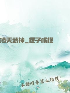 凌天武神