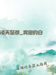 凌天至尊