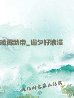 凌霄武帝