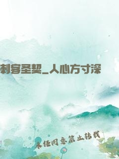 刺客圣契