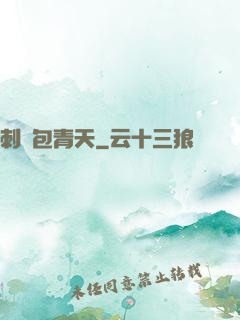 刺殺包青天