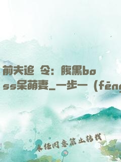 前夫追緝令：腹黑boss呆萌妻