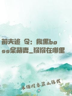 前夫追緝令：腹黑boss呆萌妻