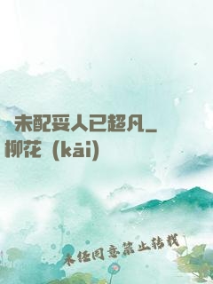 劍未配妥人已超凡