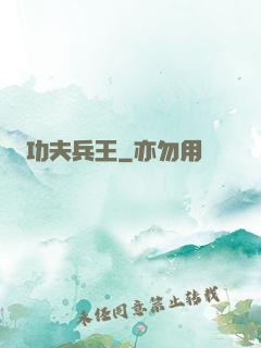 功夫兵王