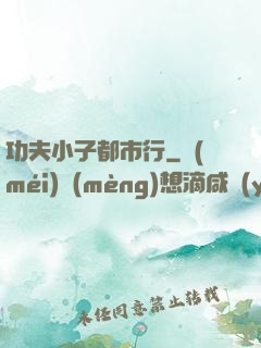 功夫小子都市行