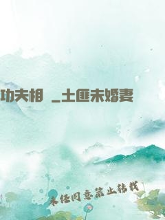 功夫相師