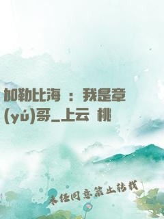 加勒比海盜：我是章魚(yú)哥