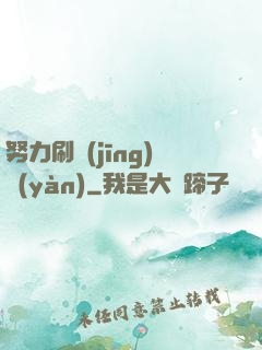 努力刷經(jīng)驗(yàn)