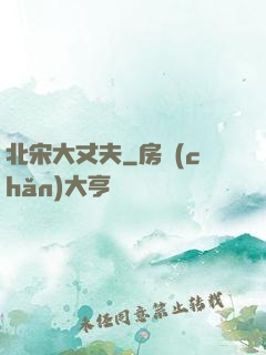北宋大丈夫
