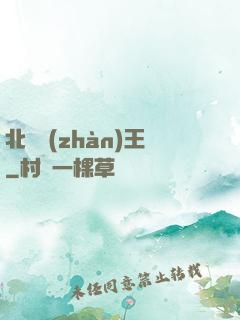 北涼戰(zhàn)王