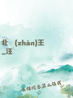 北涼戰(zhàn)王