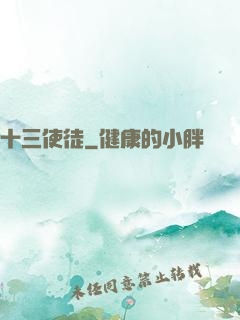 十三使徒
