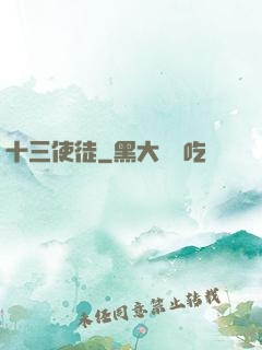 十三使徒