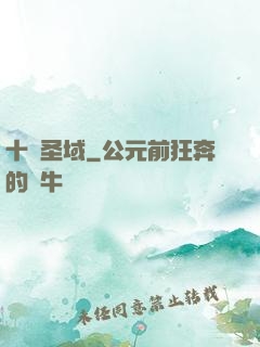 十絕圣域