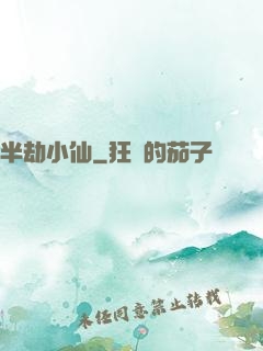 半劫小仙