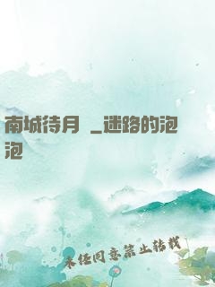 南城待月歸