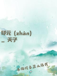 印元戰(zhàn)紀