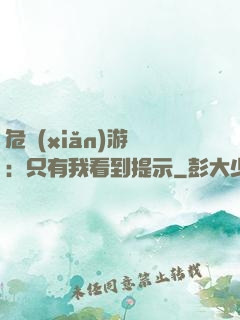 危險(xiǎn)游戲：只有我看到提示