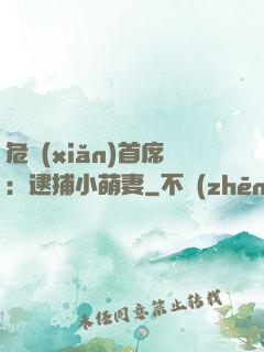 危險(xiǎn)首席：逮捕小萌妻