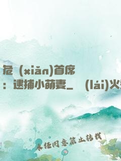 危險(xiǎn)首席：逮捕小萌妻
