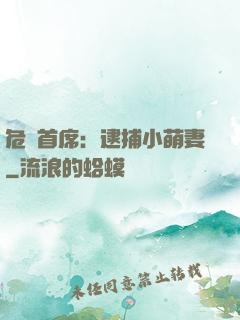 危險首席：逮捕小萌妻