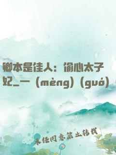 卿本是佳人：偷心太子妃