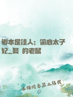 卿本是佳人：偷心太子妃