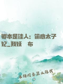 卿本是佳人：偷心太子妃