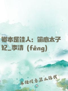 卿本是佳人：偷心太子妃