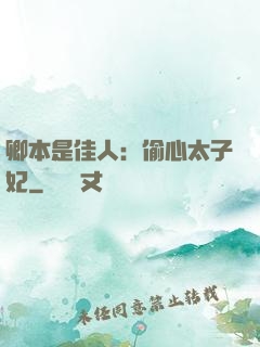 卿本是佳人：偷心太子妃