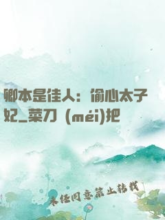 卿本是佳人：偷心太子妃