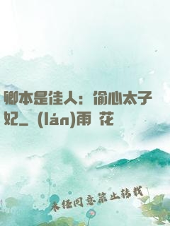 卿本是佳人：偷心太子妃