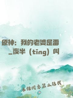 原神：我的老婆是雷電將軍