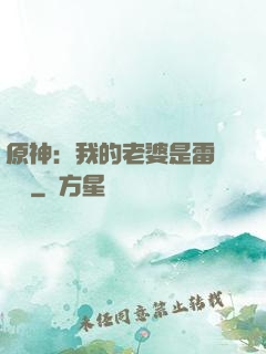 原神：我的老婆是雷電將軍