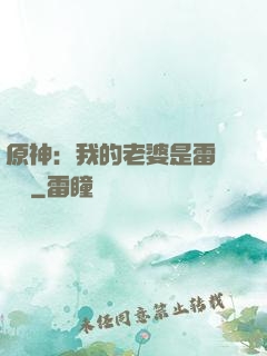 原神：我的老婆是雷電將軍