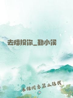 去暗投你
