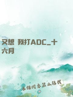 又想騙我打ADC