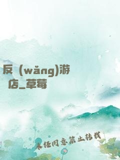 反網(wǎng)游雜貨店