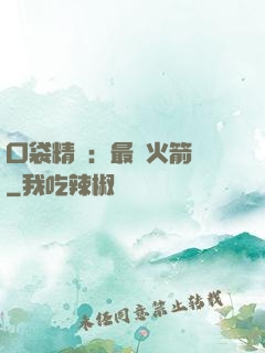 口袋精靈：最強火箭隊