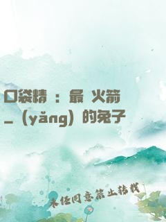 口袋精靈：最強火箭隊