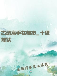 古武高手在都市