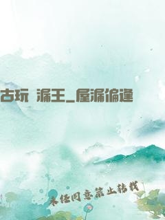 古玩撿漏王