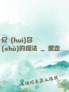 只會(huì)召喚術(shù)的魔法師