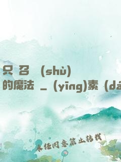只會召喚術(shù)的魔法師