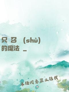 只會召喚術(shù)的魔法師