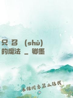 只會召喚術(shù)的魔法師